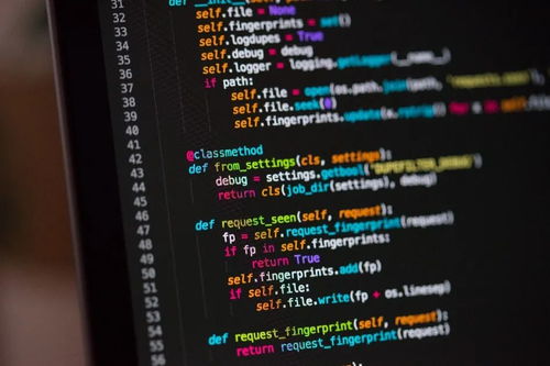 10个面向初学者的免费软件开发资源